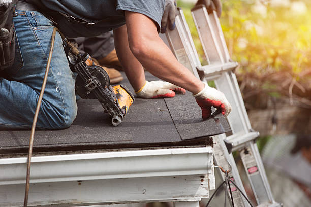 Residential Roof Replacement in Truman, MN